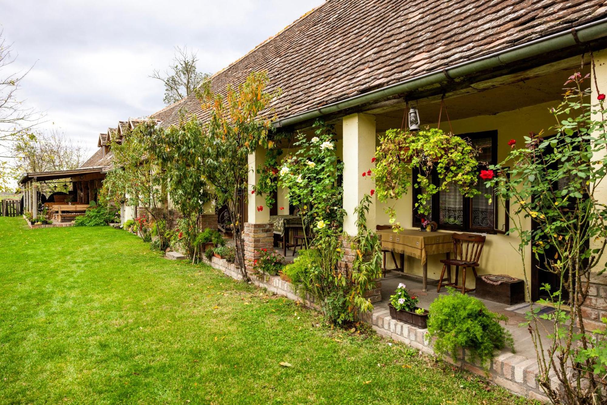 Snasini Kucari Bed & Breakfast Gradiste Exterior photo