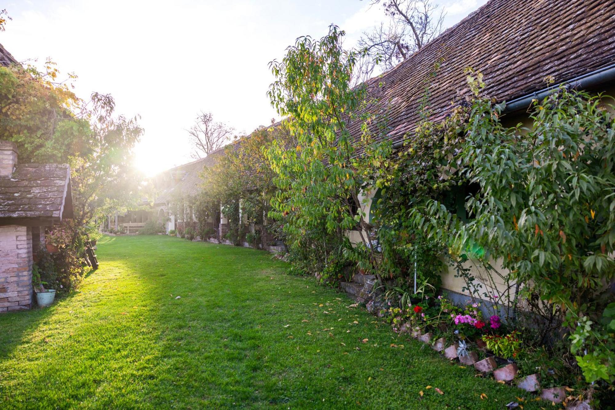 Snasini Kucari Bed & Breakfast Gradiste Exterior photo