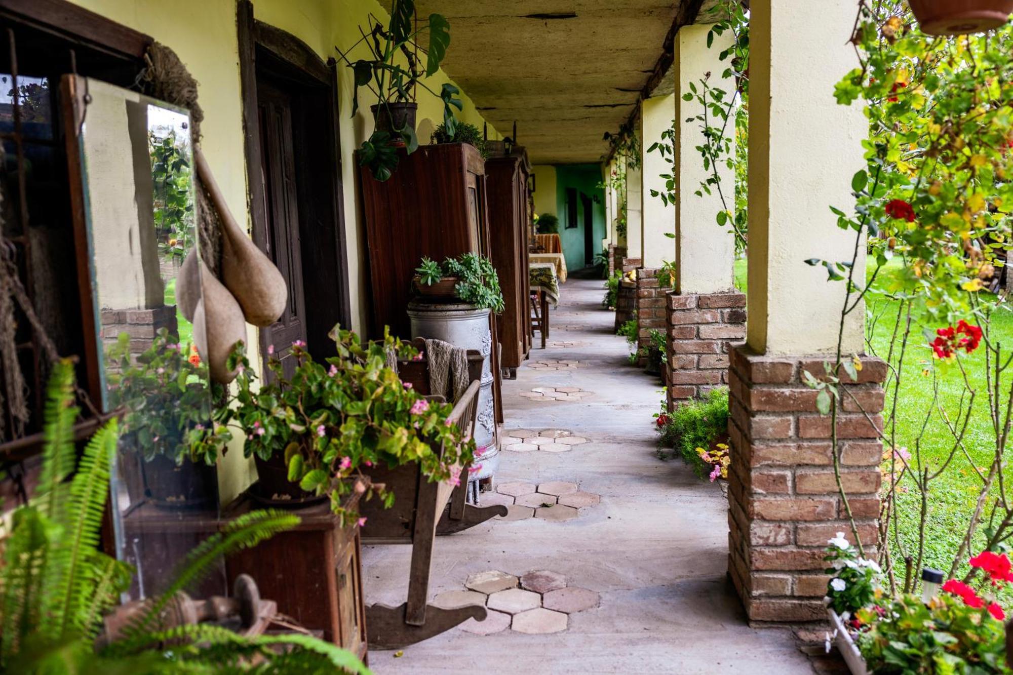 Snasini Kucari Bed & Breakfast Gradiste Exterior photo